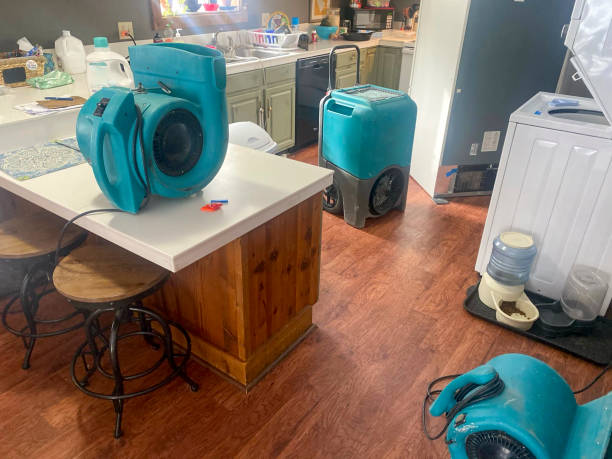 Water damage restoration experts in WV