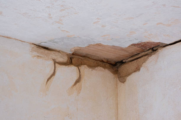 Best Commercial water damage restoration  in Rupert, WV