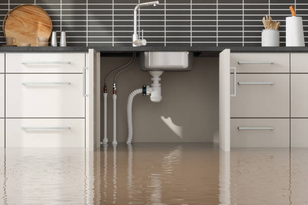 Best Professional water damage repair  in Rupert, WV