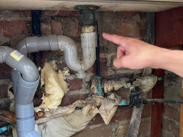 Best Water damage restoration near me  in Rupert, WV