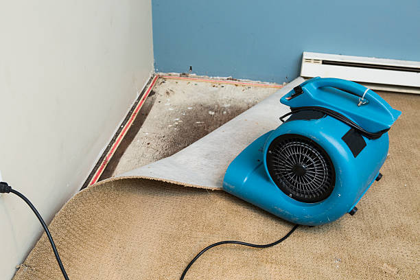 Best Local water damage restoration  in Rupert, WV